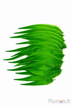 Haan - 8-12 cm - lime